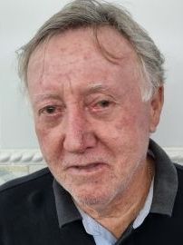 Menezes aju